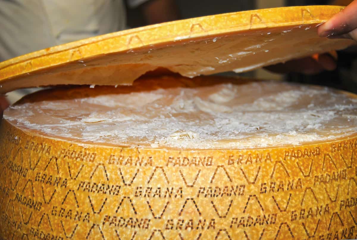 Ripe Parmigiano-Reggino Cheese Wheels Ready For Export Photograph