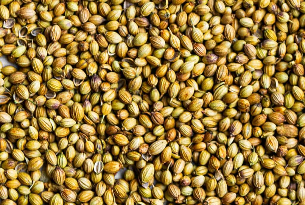 Coriander Seeds - What is coriander and how to use it in cooking