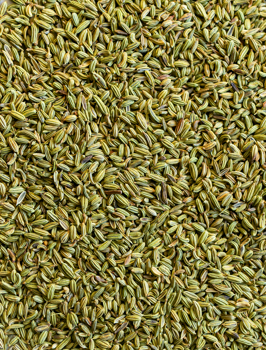 close up photo of whole fennel seeds