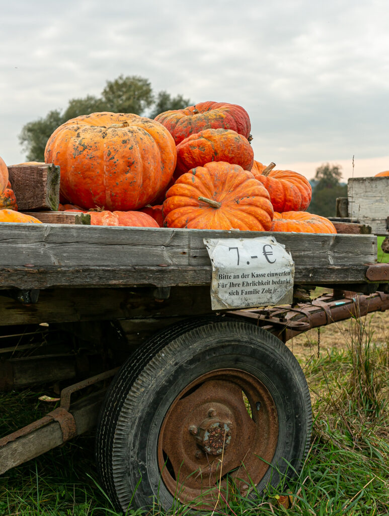 pumpkins in a wagon for sale in the south of germany