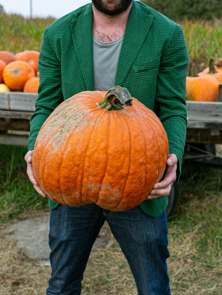 huge Hokkaido pumpkin